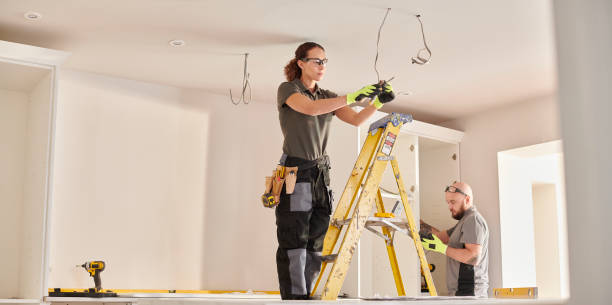 Best Electrical Upgrades for Homes  in Carson City, MI