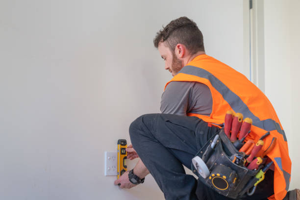 Best Generator Installation Services  in Carson City, MI