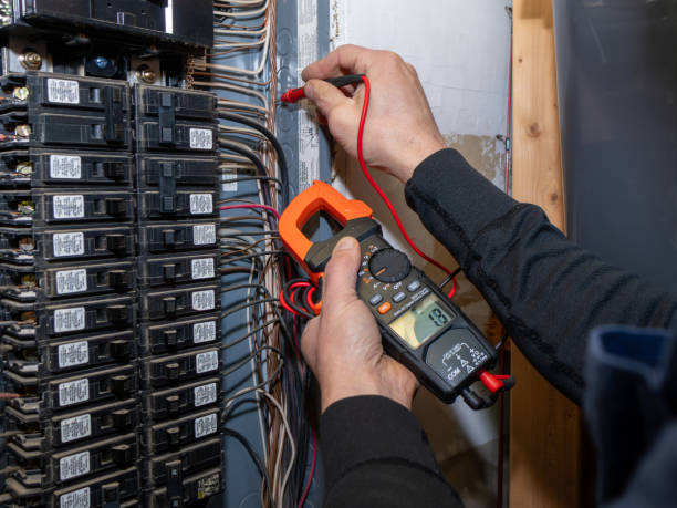 Best Industrial Electrical Services  in Carson City, MI